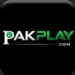 pakplay game logo icon