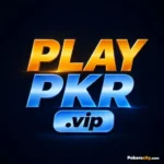 Playpkr game logo – آن لائن کیسینو پلیٹ فارم
